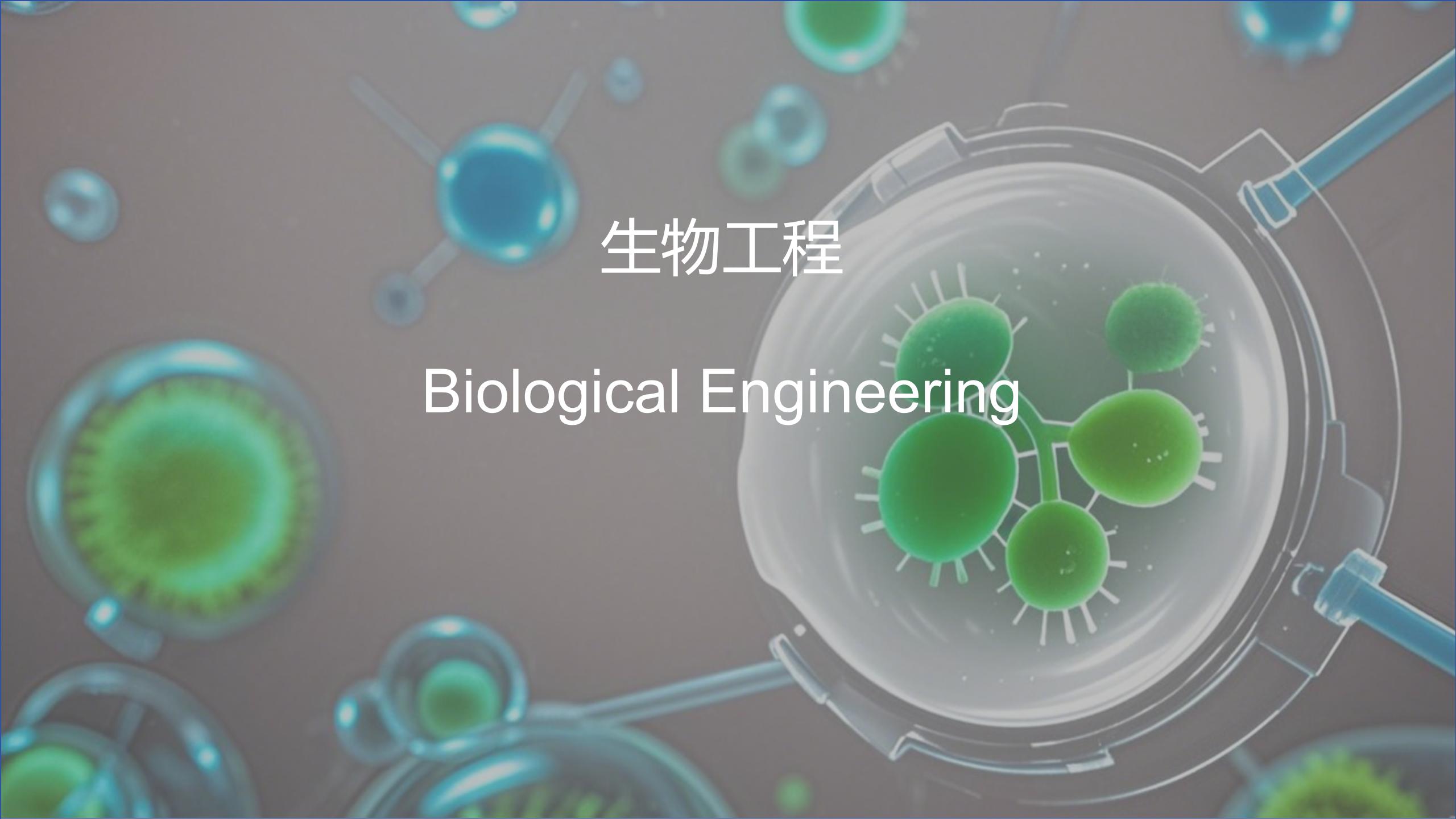 聚焦领域5